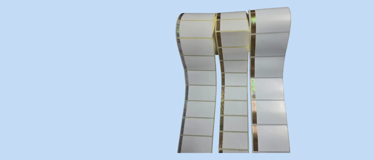 Untitled design (41)